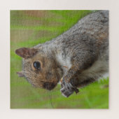Niedliches graues Eichhörnchen frisst Nah auf Puzzle (Vertikal)