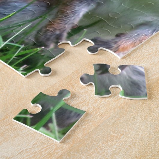 Niedliches graues Eichhörnchen Puzzle (Seite)