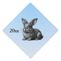 Niedliches graues Kaninchen gegen einen blauen Him