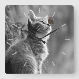 Niedliches graues Kätzchen mit Schmetterling auf Quadratische Wanduhr