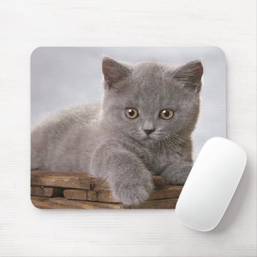 niedliches graues Kätzchen mousepad (Mit Mouse)