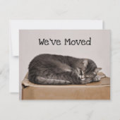 Niedliches graues Schlafen in Schachtel Karte (Vorderseite)