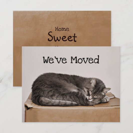 Niedliches graues Schlafen in Schachtel Karte (Vorne/Hinten)