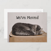 Niedliches graues Schlafen in Schachtel Postkarte (Vorne/Hinten)