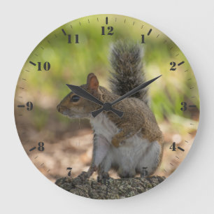 Niedliches Grauhörnchen Große Wanduhr