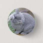 Niedliches Graukaninchen Button (Vorderseite)