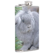 Niedliches Graukaninchen Flachmann (Rechts)