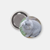 Niedliches Graukaninchen Magnet (Vorderseite/Rückseite)