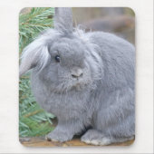 Niedliches Graukaninchen Mousepad (Vorne)