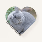 Niedliches Graukaninchen Notizblock (Vorderseite)