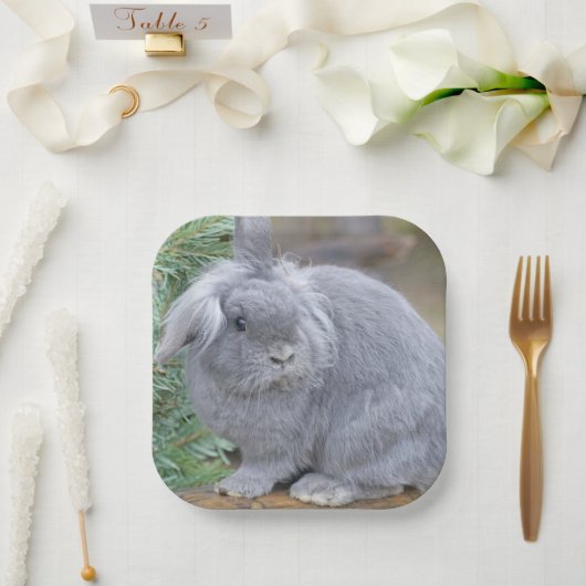 Niedliches Graukaninchen Pappteller (Hochzeit)