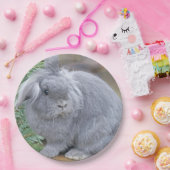 Niedliches Graukaninchen Pappteller (Party)