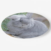 Niedliches Graukaninchen Pappteller (Schrägansicht)