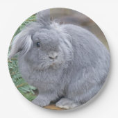 Niedliches Graukaninchen Pappteller (Vorderseite)