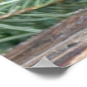 Niedliches Graukaninchen Poster (Ecke)