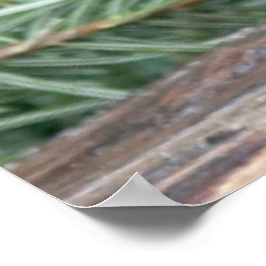 Niedliches Graukaninchen Poster (Ecke)