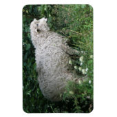 Niedliches Greedy Sheep Eating Premium Magnet (Vertikal)
