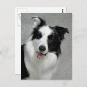 Niedliches Grenz-Collie-Foto-Portrait Postkarte (Vorne/Hinten)