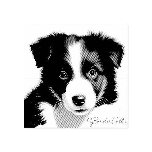 Niedliches Grenz-Collie-Welpenportrait Pet Keepake Gummistempel (Prägung)