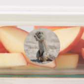 Niedliches Grundgerüst Etiketten (Befestigt)