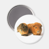 niedliches Guinea Magnet (Vorderseite/Rückseite)