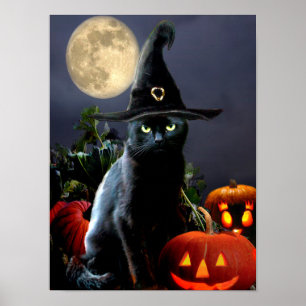 Niedliches Halloween-Katzenposter Poster