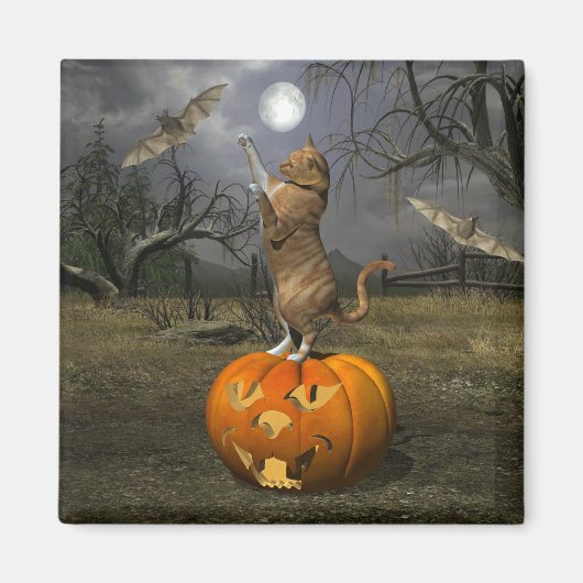 Niedliches Halloween-Orange-Katzen-Batzen Magnet (Vorne)