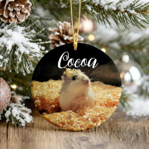 Niedliches Hamstergeschenk für Hamsterliebhaber Keramik Ornament