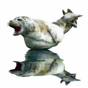 NIEDLICHES HARBOR-SIEGEL (skulptiert) Geschenk für Fotoskulptur Magnet