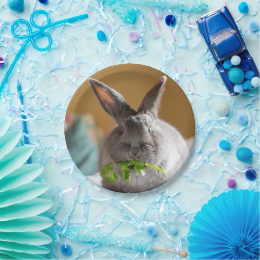 Niedliches Häschen-Kaninchen, das Pappteller (Party)