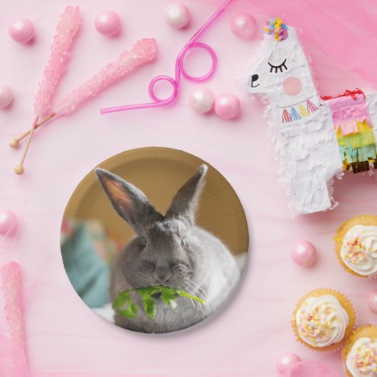 Niedliches Häschen-Kaninchen, das Pappteller (Party)