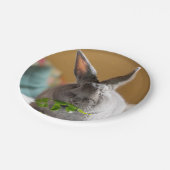 Niedliches Häschen-Kaninchen, das Pappteller (Schrägansicht)