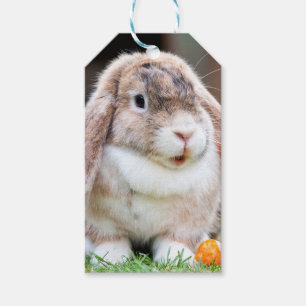 Niedliches Hasen Geschenkanhänger