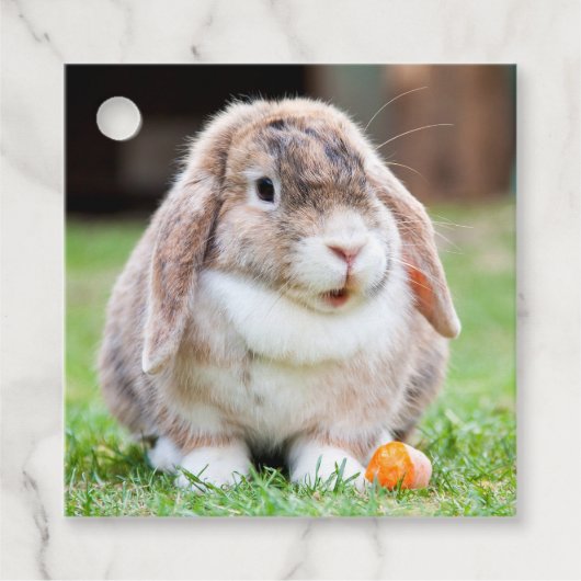 Niedliches Hasen Geschenkanhänger (Vorderseite)