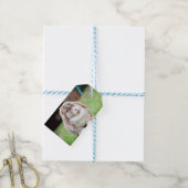 Niedliches Hasen Geschenkanhänger (Mit Garn)