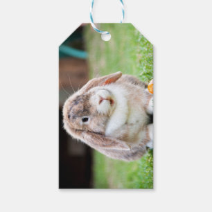 Niedliches Hasen Geschenkanhänger