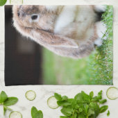 Niedliches Hasen Geschirrtuch (Gefaltet)