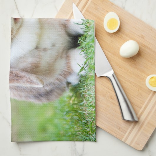 Niedliches Hasen Geschirrtuch (Viertel Falte)