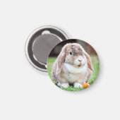 Niedliches Hasen Magnet (Vorderseite/Rückseite)