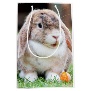 Niedliches Hasen Mittlere Geschenktüte