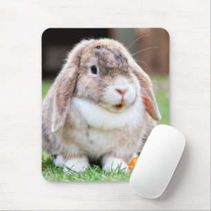 Niedliches Hasen Mousepad