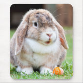 Niedliches Hasen Mousepad (Vorne)