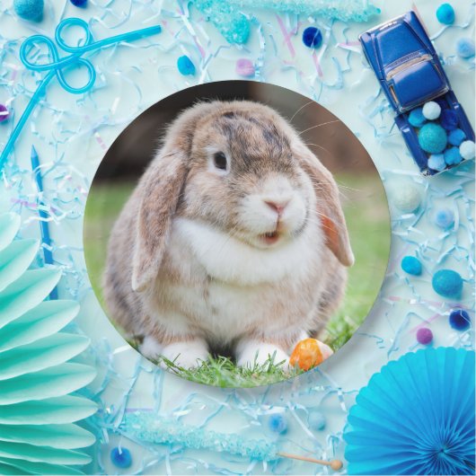 Niedliches Hasen Pappteller (Party)