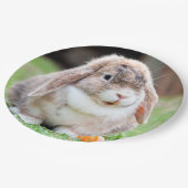 Niedliches Hasen Pappteller (Schrägansicht)