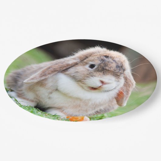Niedliches Hasen Pappteller (Schrägansicht)