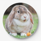 Niedliches Hasen Pappteller (Vorderseite)