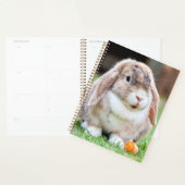 Niedliches Hasen Planer (Anzeige)