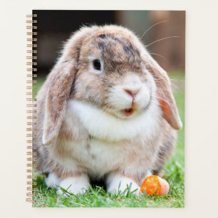Niedliches Hasen Planer