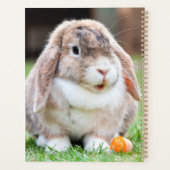 Niedliches Hasen Planer (Rückseite)