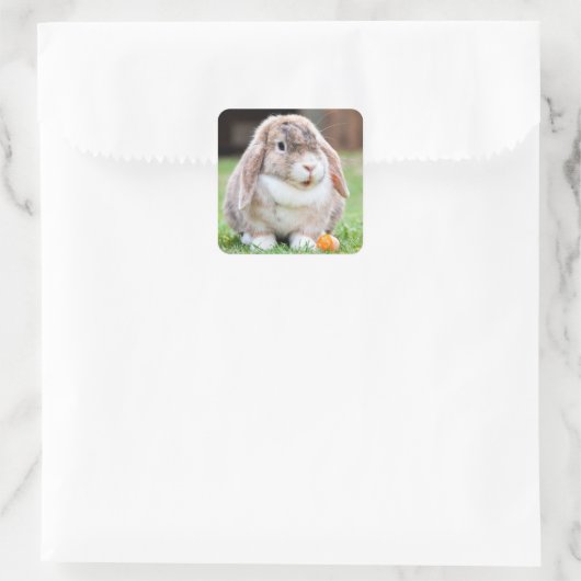 Niedliches Hasen Quadratischer Aufkleber (Tasche)